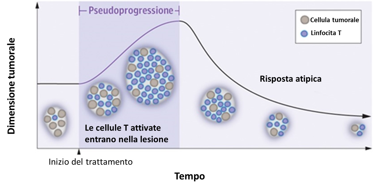 valutazione risposte 1