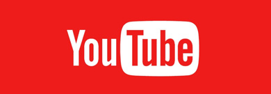 yt 390
